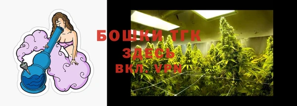тгк Алексин