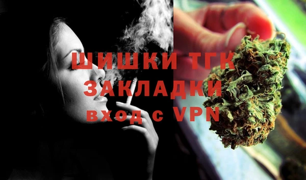 тгк Алексин