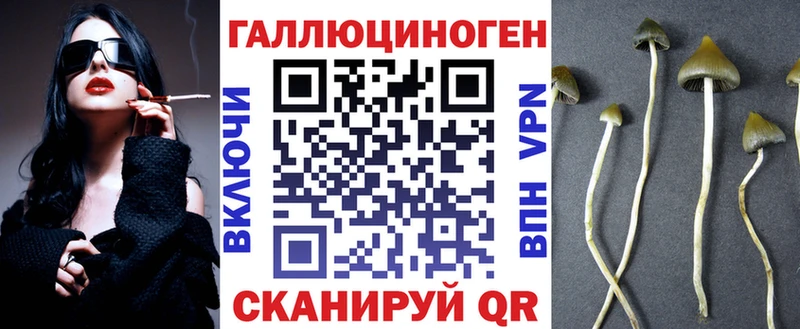 Псилоцибиновые грибы мухоморы mega как войти Камышлов